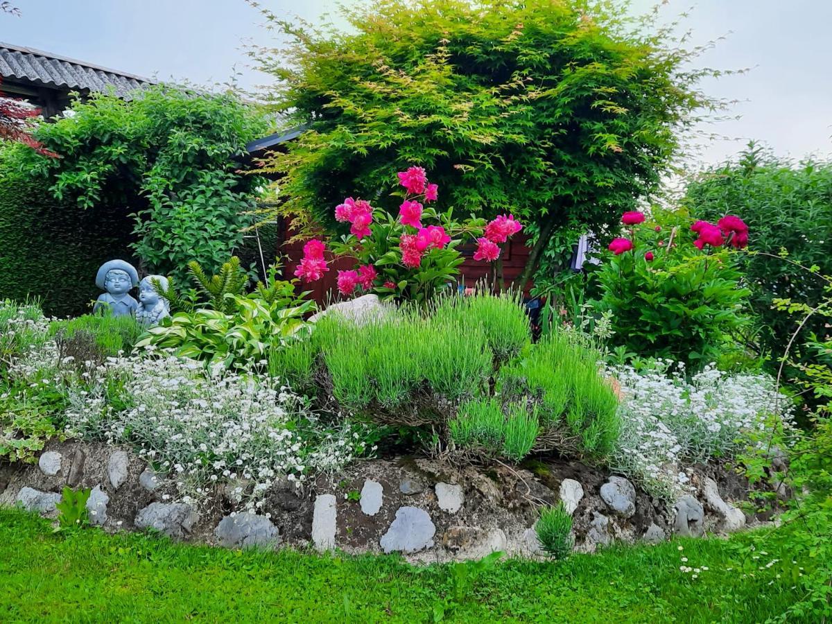 Garden Paradise Bled Apartments - Garden, Pond And Castle View 외부 사진