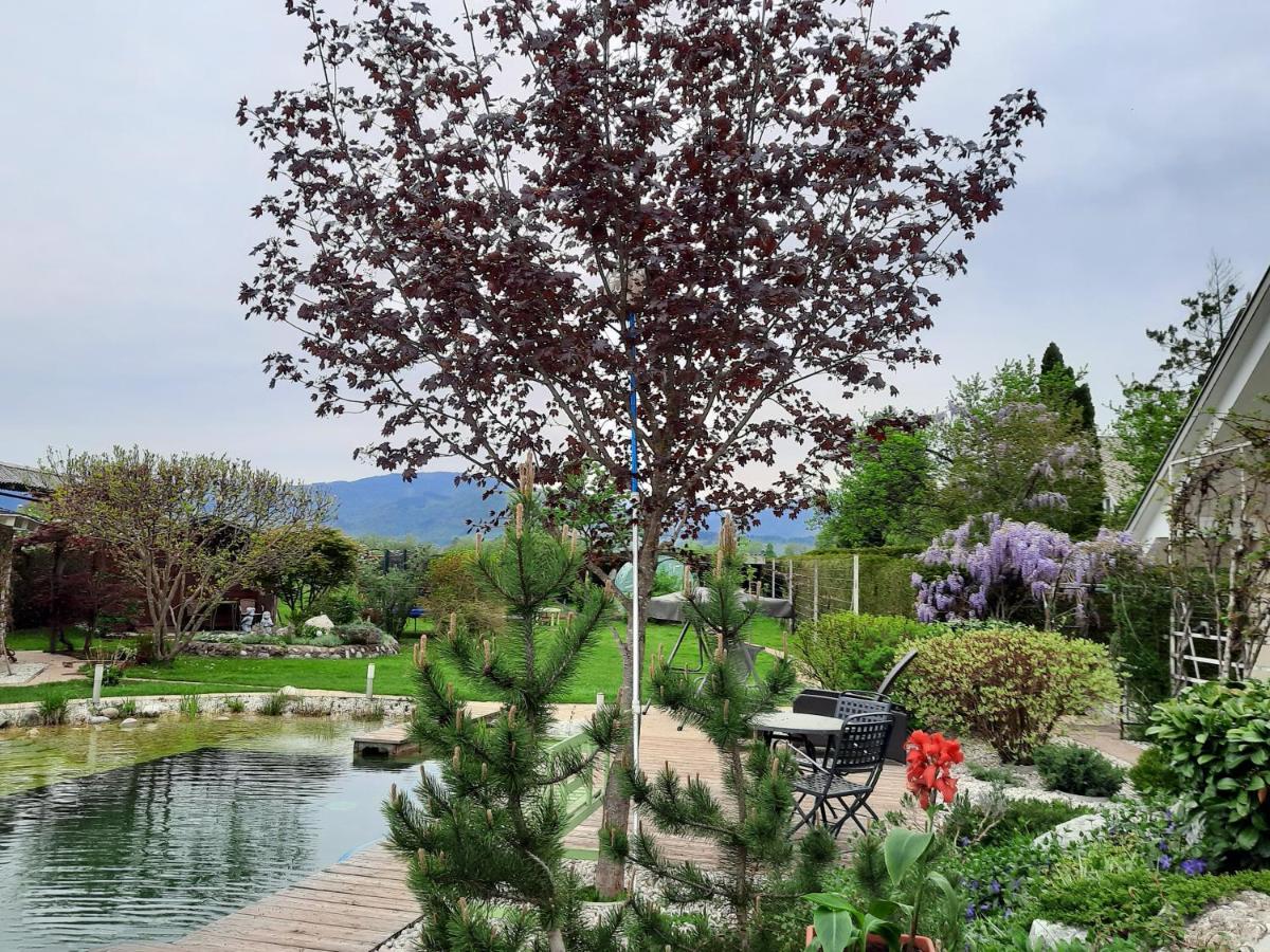 Garden Paradise Bled Apartments - Garden, Pond And Castle View 외부 사진
